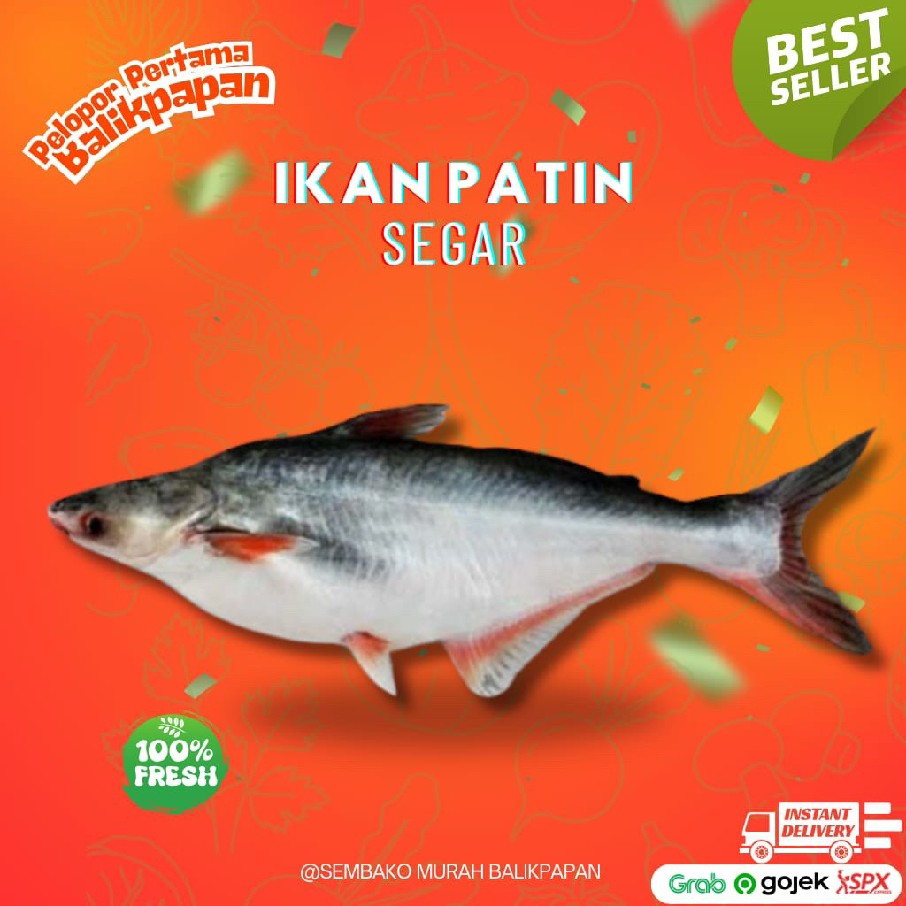 

ikan patin 1kg