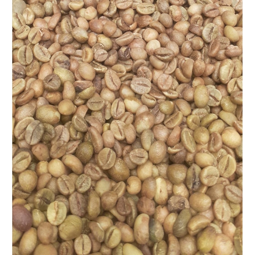 

biji kopi robusta 1kg greenbean grade 1 dari gunungsawal