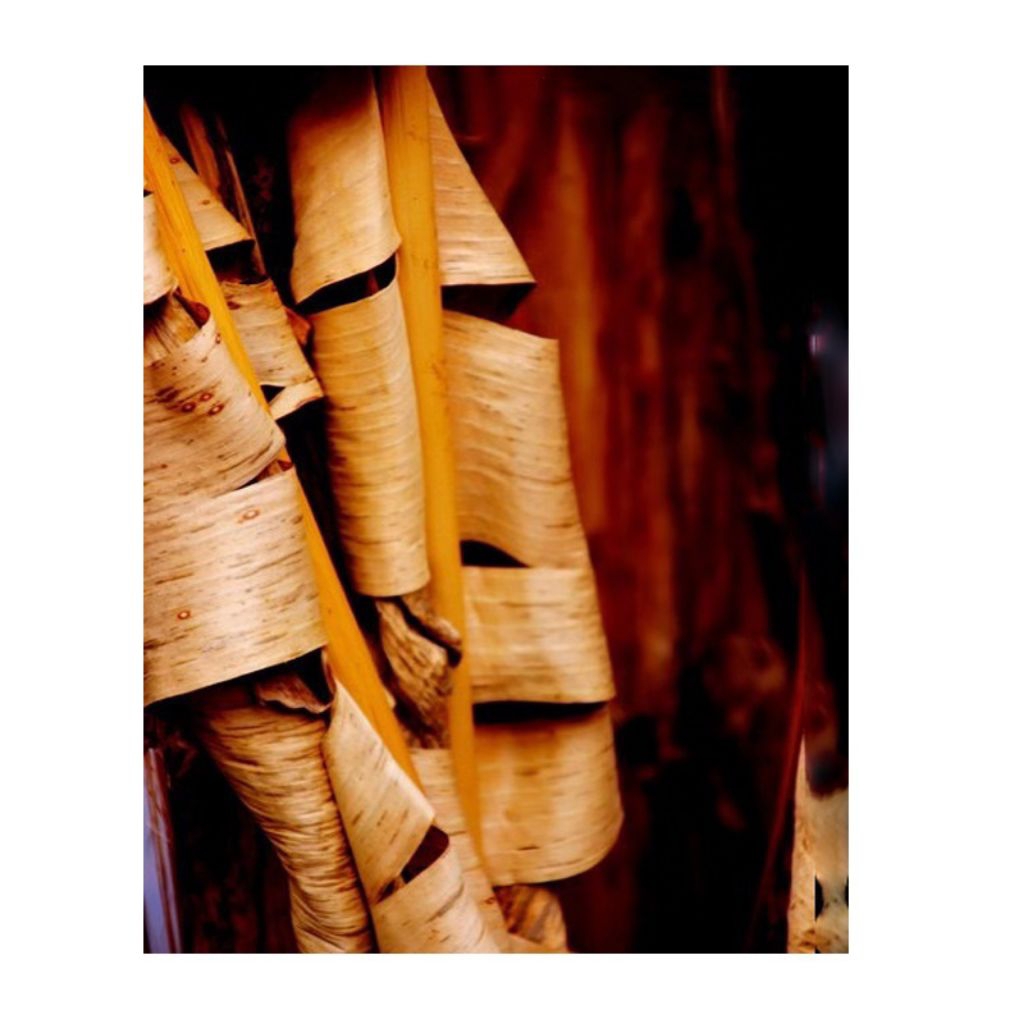 

daun pisang kering daun klaras 500 gram