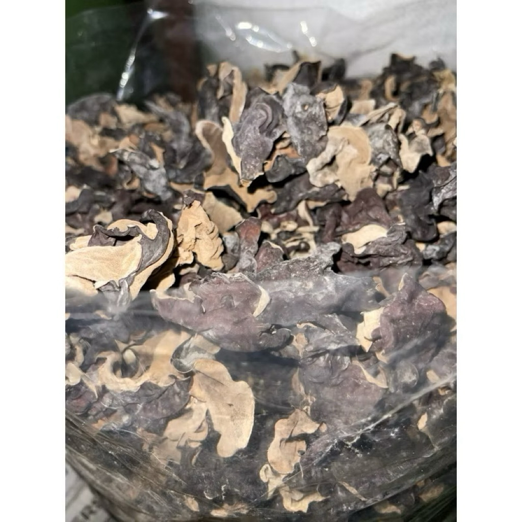 

Jamur Kuping Kering 200gr | Jamur Kuping Hitam Premium | Bahan Masakan Sehat Bergizi