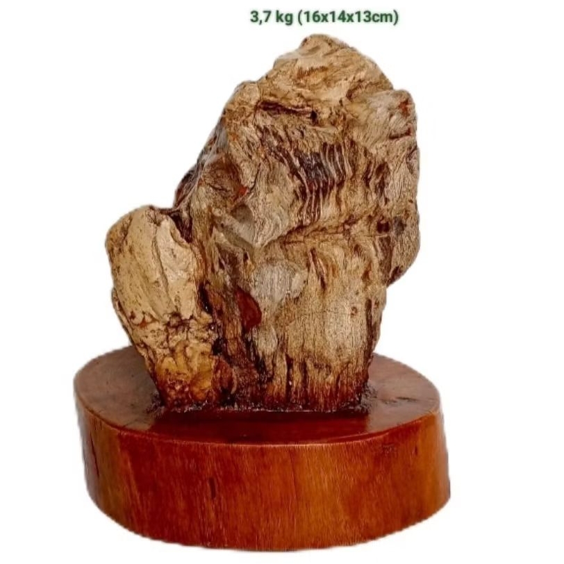 batu akik hias suiseki fosil kayu cendana (179)