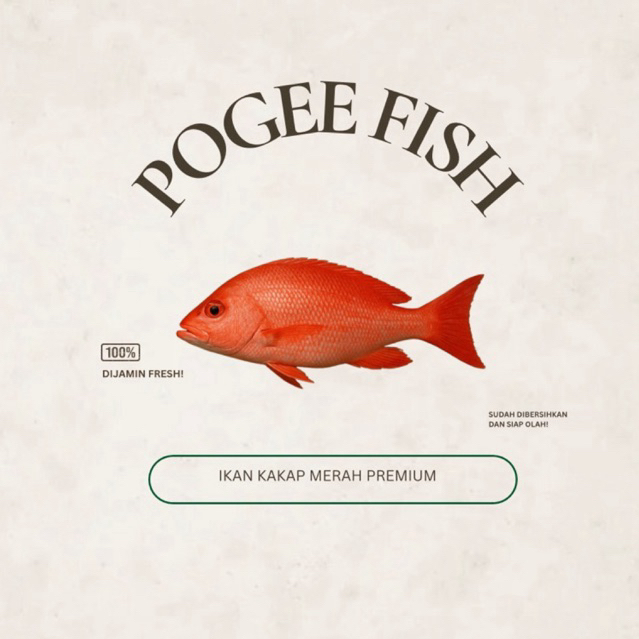 

Pogeefish Ikan Kakap Merah Premium Kualitas Ekspor Ikan Segar Malang