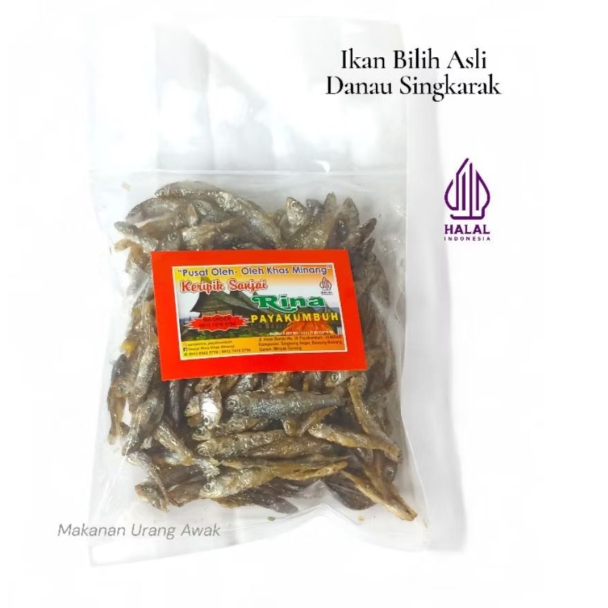 

Ikan Bilih Asli Danau Singkarak