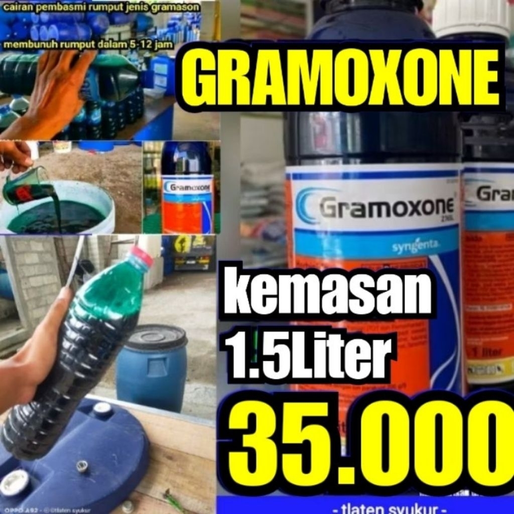 obat rumput gramaxon isi 1,5liter,dr tirisan drum.rumput dijamin mati