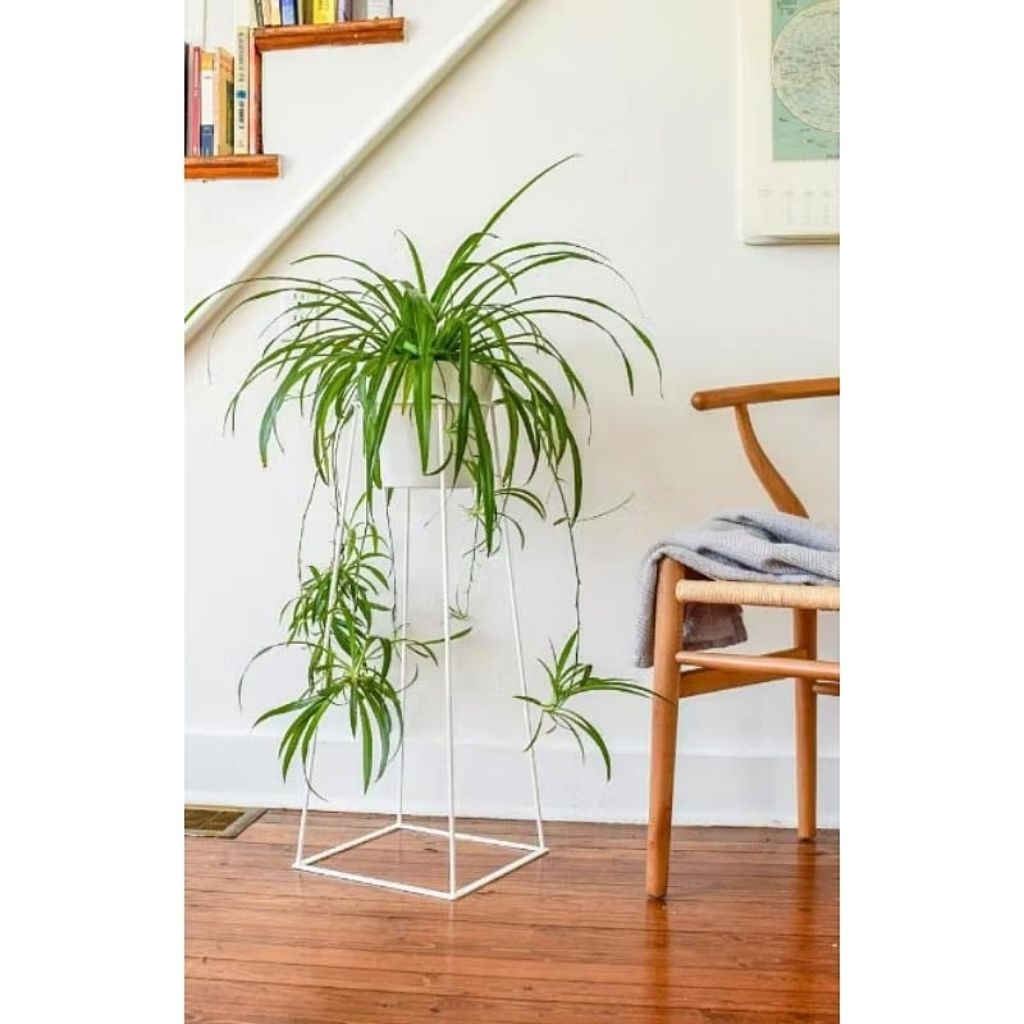 Standing pot bunga minimalis/Standing pot aestetik/Rak pot bunga tinggi50,60cm bahan besi antikarat