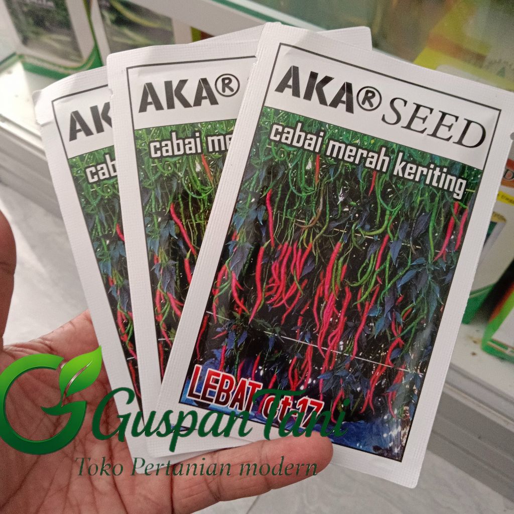 LEBAT ct-17 benih cabai rawit dari AKAR 10grm