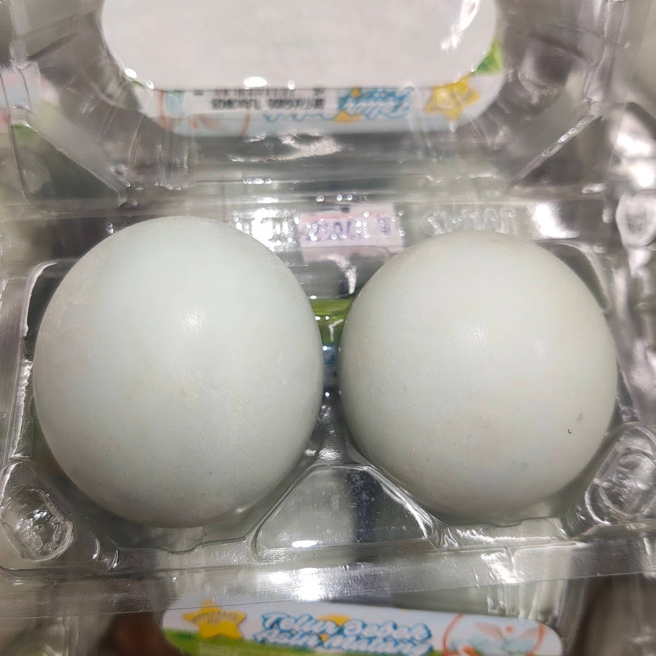 

Telur Asin / Telur Bebek Asin Matang 2pcs