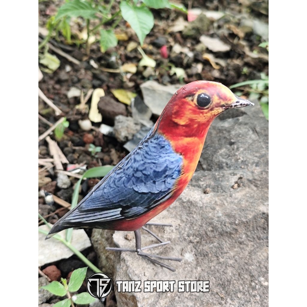 Jontrot boneka burung anis bata dekoy patung manuk anis merah bahan spon