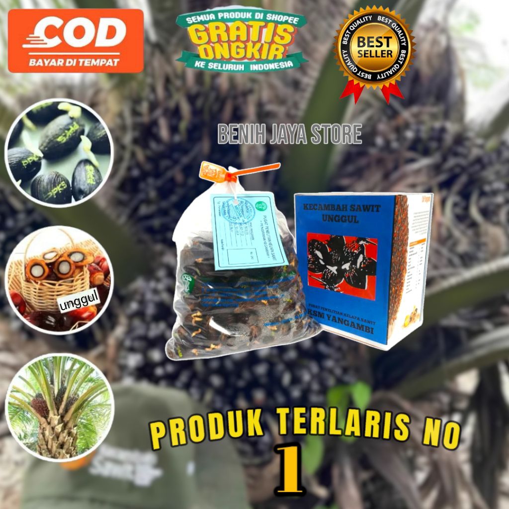 KECAMBAH SAWIT ORIGINAL UNGGUL BERSERTIFIKAT