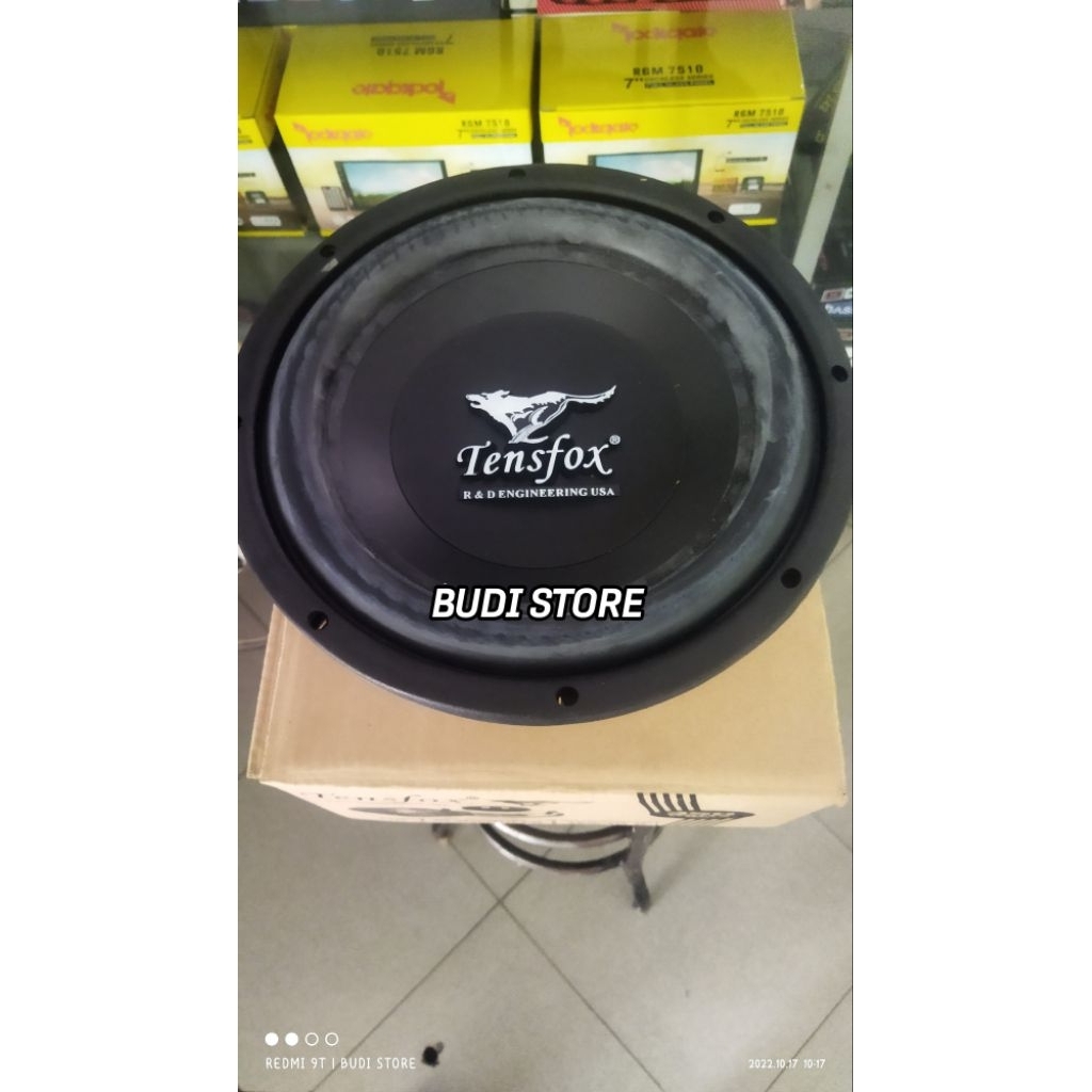 subwoofer TENSFOX 10 inch