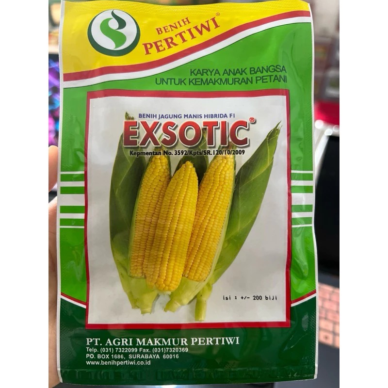 

PROMO TERBATAS^^^benih jagung manis isi 1750 butir original asli kemasan pabrik