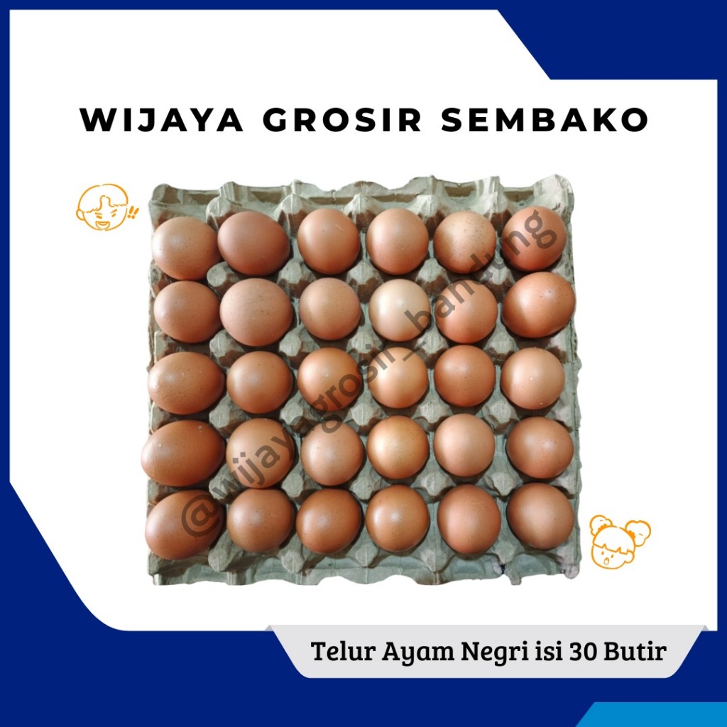 

Telur Ayam Negri isi 30 Butir