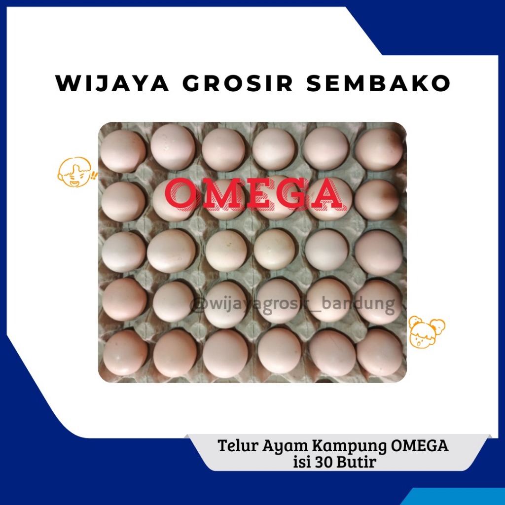 

Telur Ayam Kampung Omega per tray isi 30 Butir