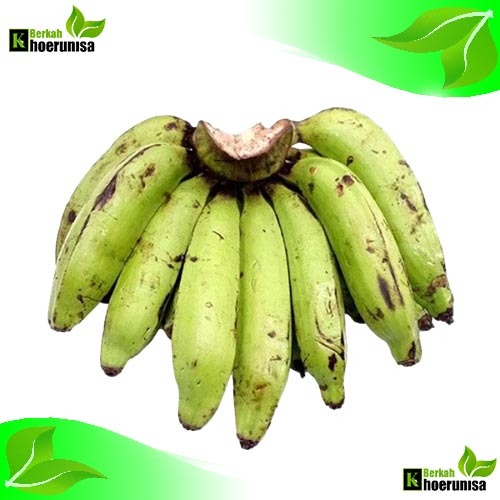 

Pisang Nangka Montok 1 Sisir 1 kg Siap Matang