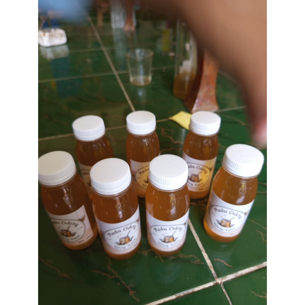 

Promo_Madu odeng murni 100% asli Isi 7 botol 100 ml madu odeng ujung kulon asli
