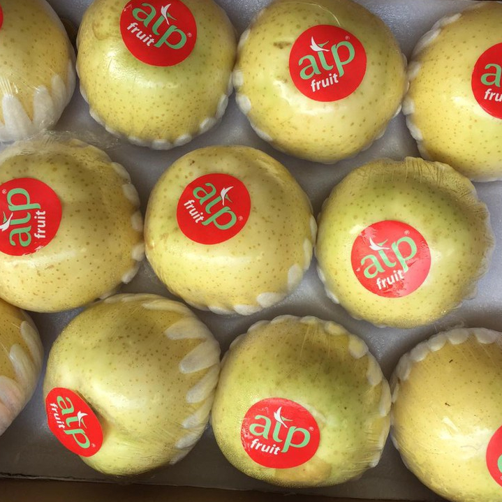 

Pear Pir Golden Import | Manis Juicy