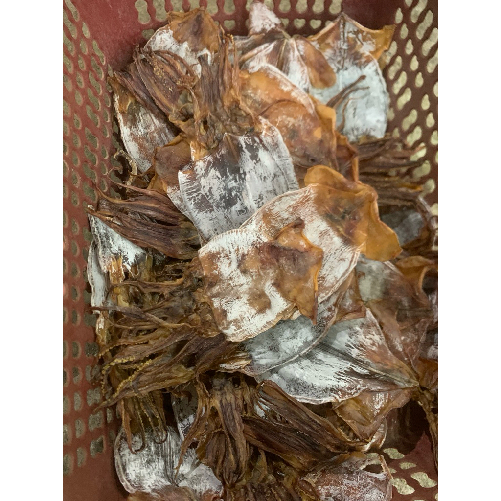 

cumi juhi kering tawar ukuran jumbo