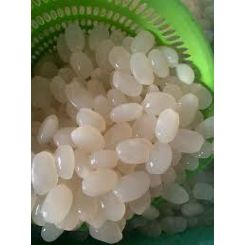 

buah aren atau kolang Kaling segar sehat banyak manfat