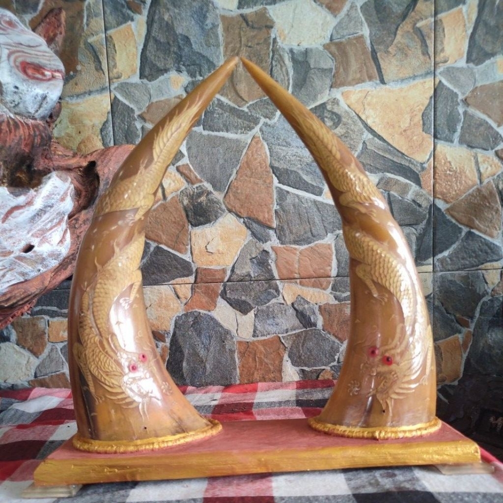 pajangan tanduk kebo bule ukir naga