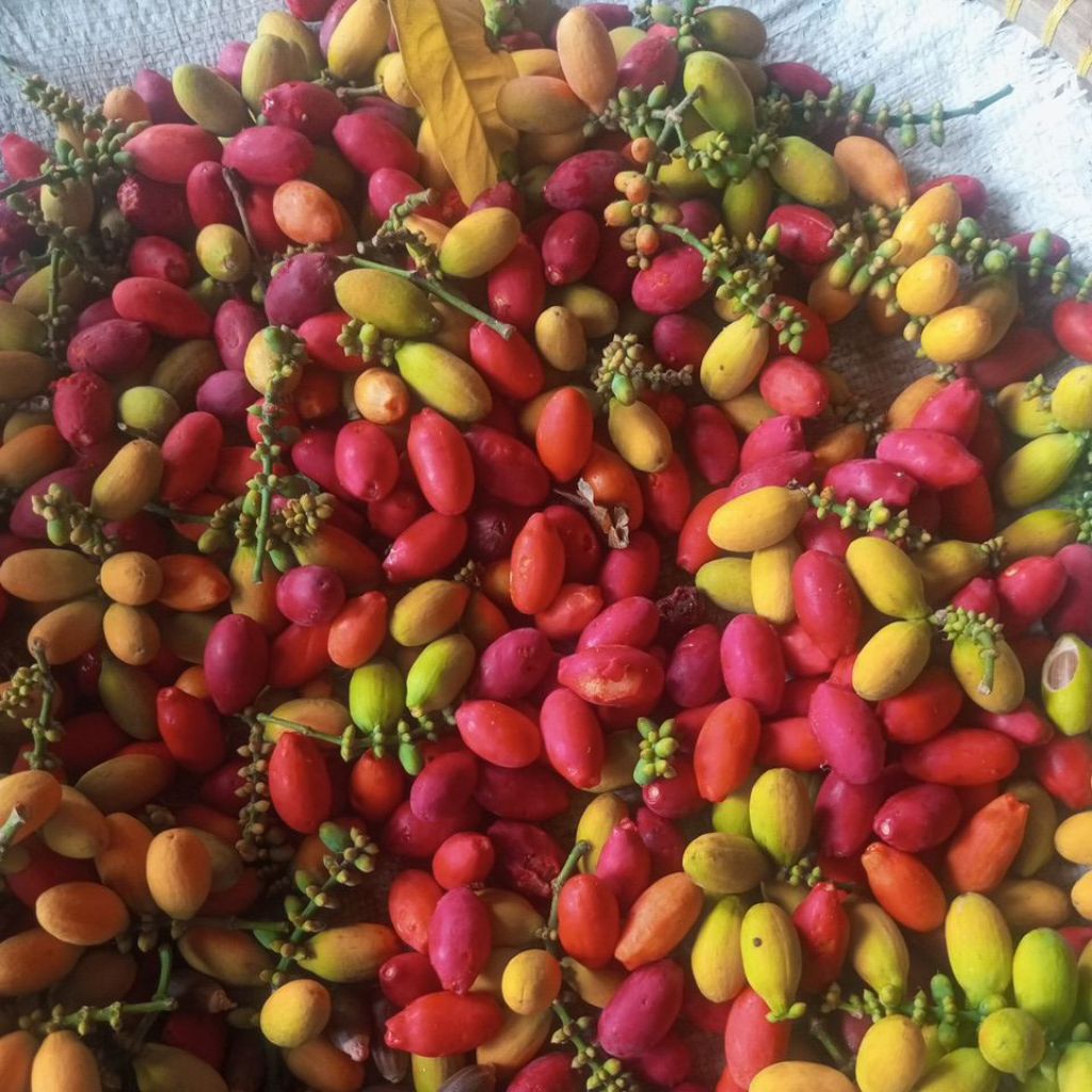 

MELINJO UTUH SUPER 500GRAM