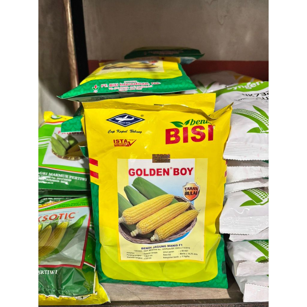 BENIH JAGUNG MANIS GOLDEN BOY - 500GR