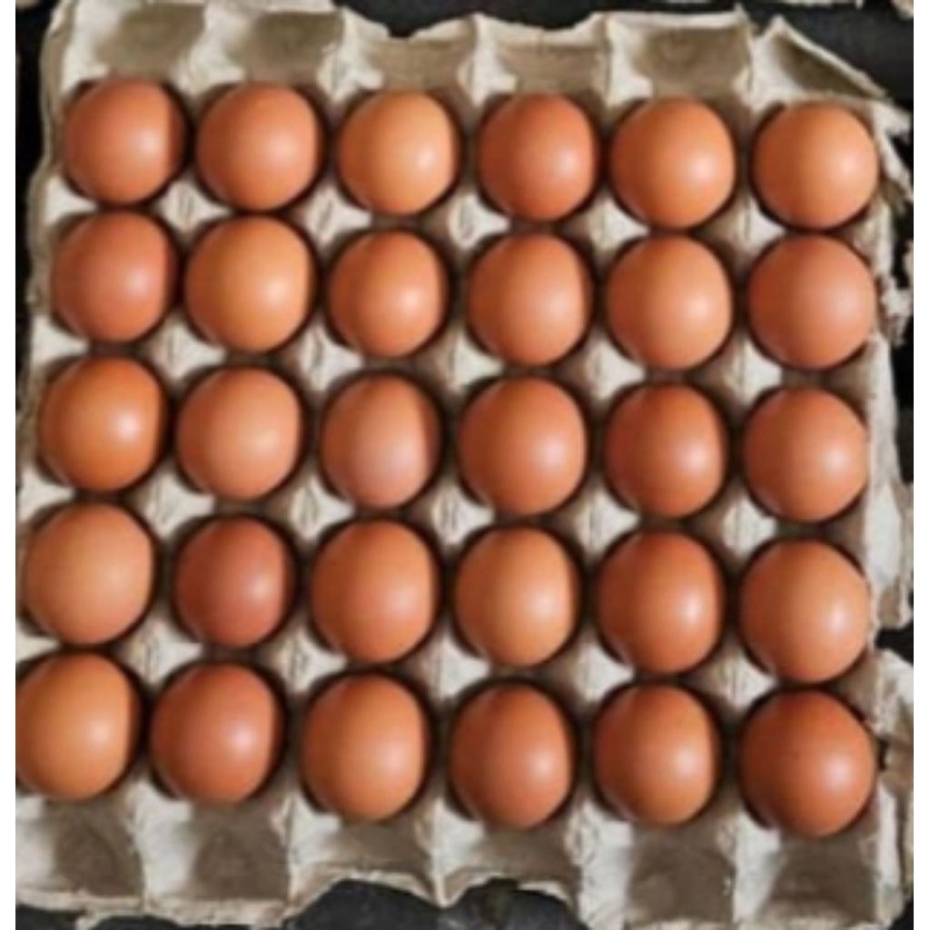 

Telur ayam Fress Grade A isi per tray 30 butir