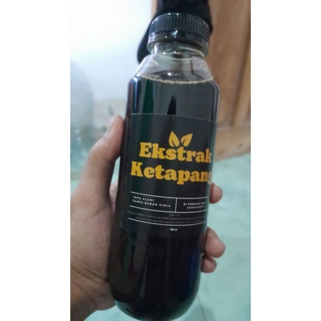 ekstrak daun Ketapang