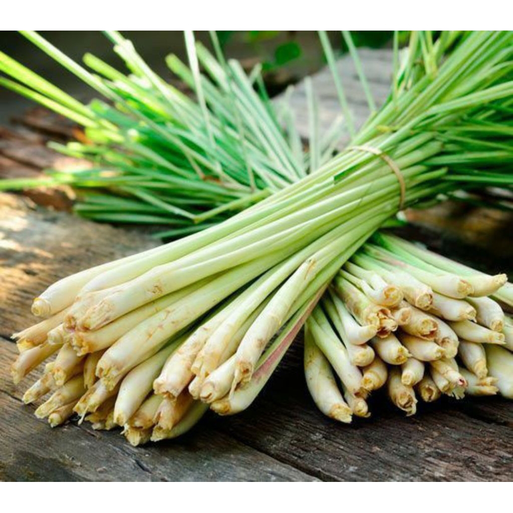 

Sereh Segar Berkualitas (organik )