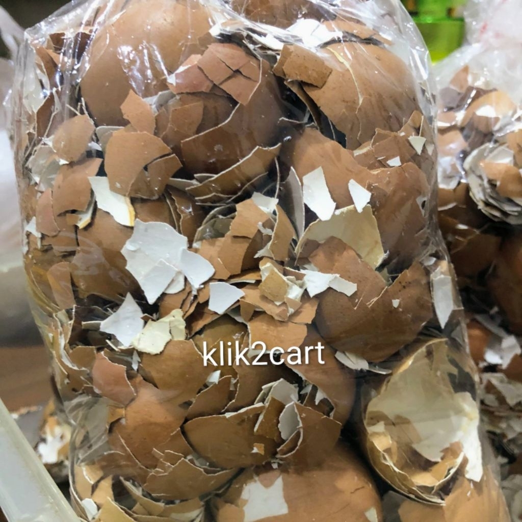 

Cangkang telur / kulit telur / kulit telur ayam