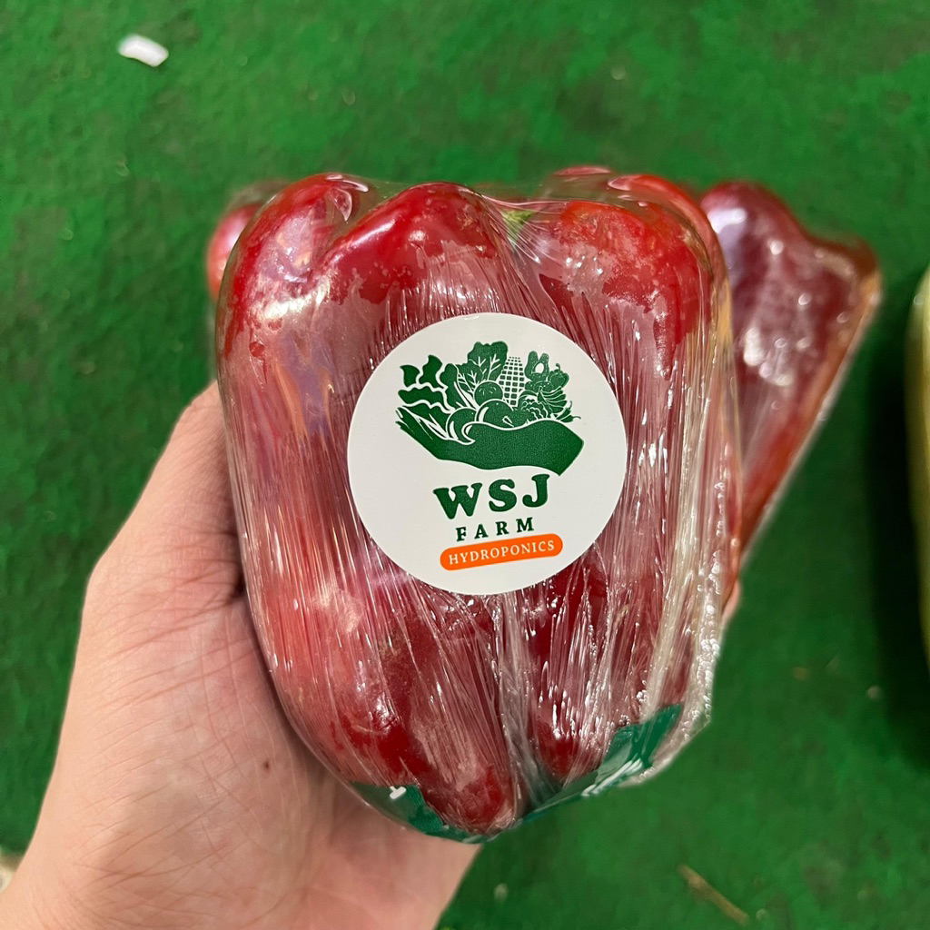 

PAPRIKA MERAH PER PCS SAYURAN FRESH SEGAR HIDROPONIK