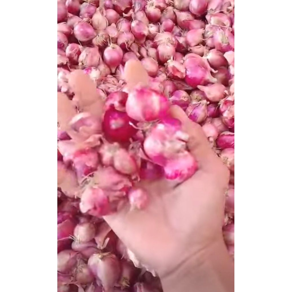 

bawang merah probolinggo 1kg
