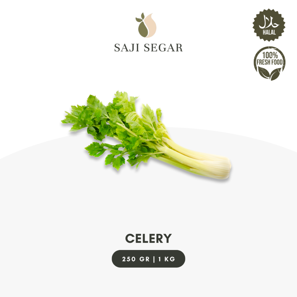 

Saji Segar Celery Segar Ecer