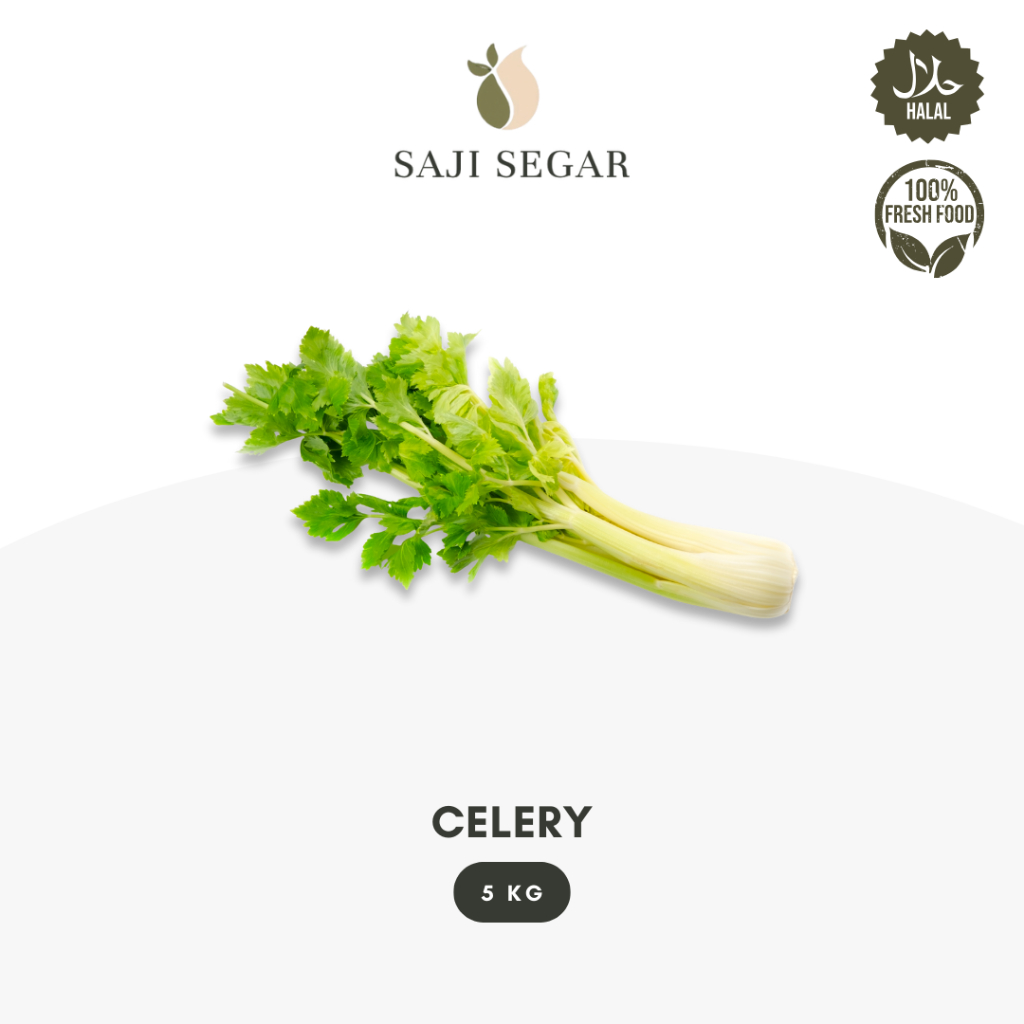 

Saji Segar Celery Grosir