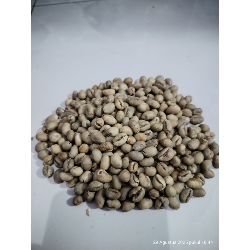 

BIJI KOPI LANANG ASLI DARI LERENG GUNUNG RAUNG BANYUWANGI