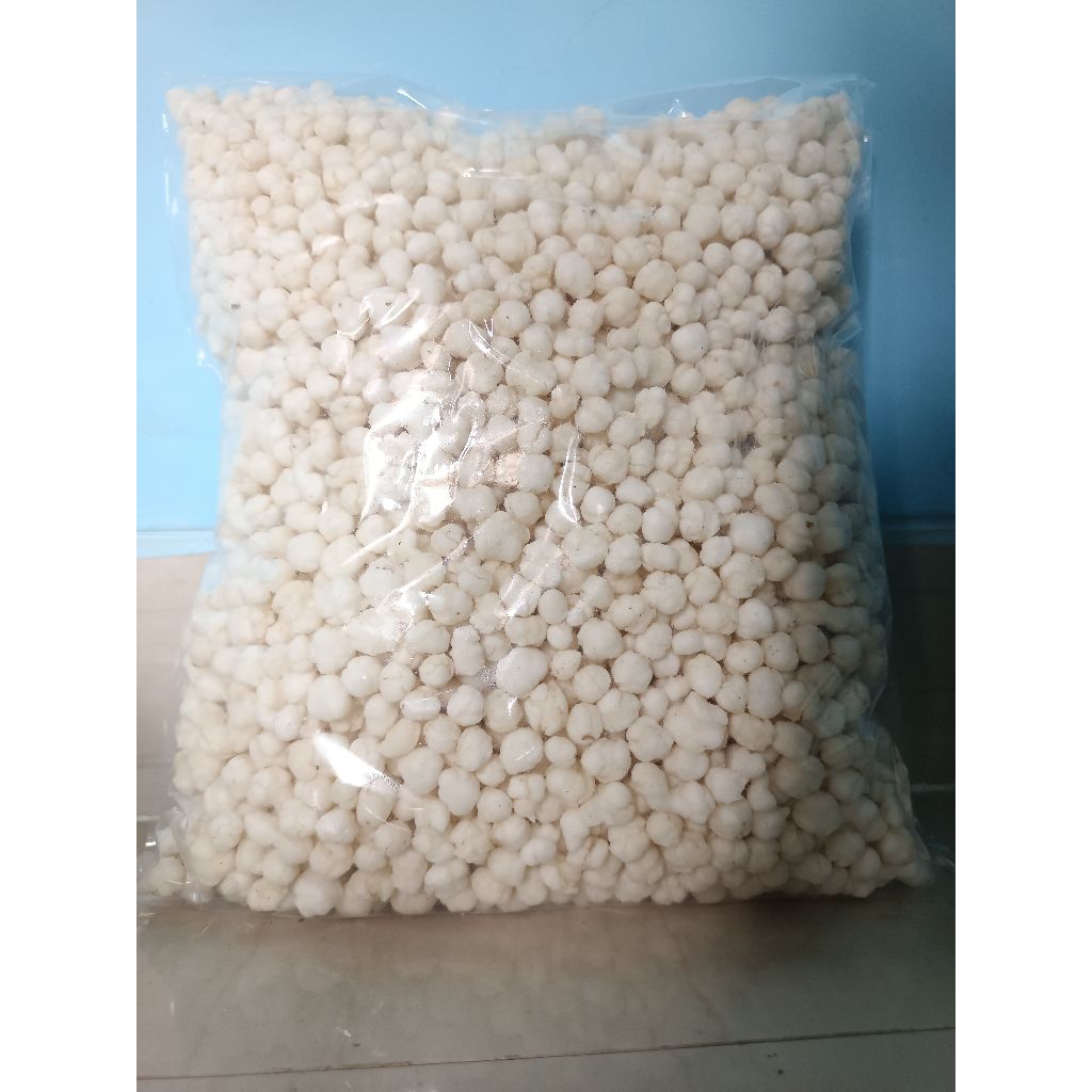 

sukro pilus cikur gurih 1 kg