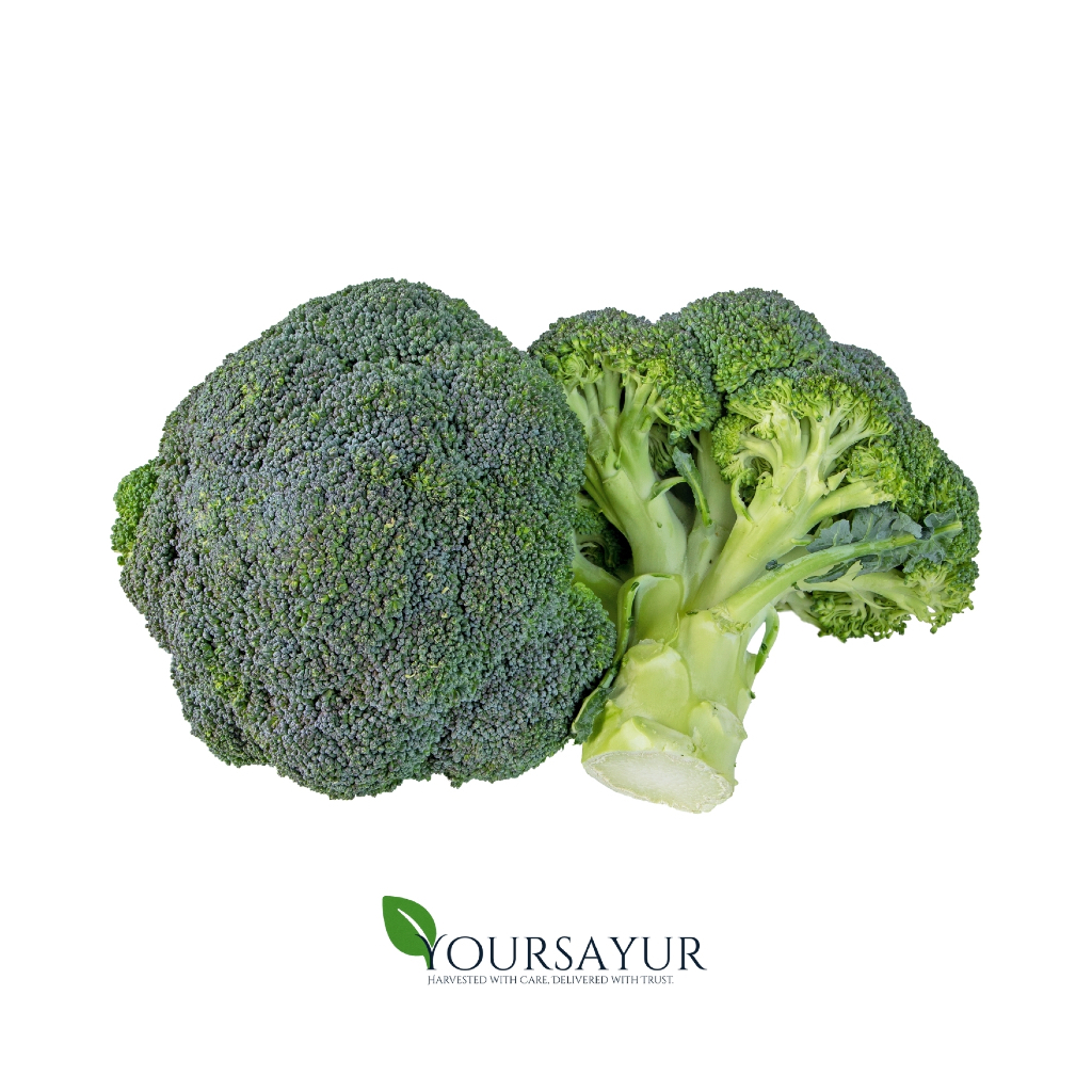 

Brokoli 4 Jari Segar | Fresh Brokoli 4 Jari | Sayur & Buah