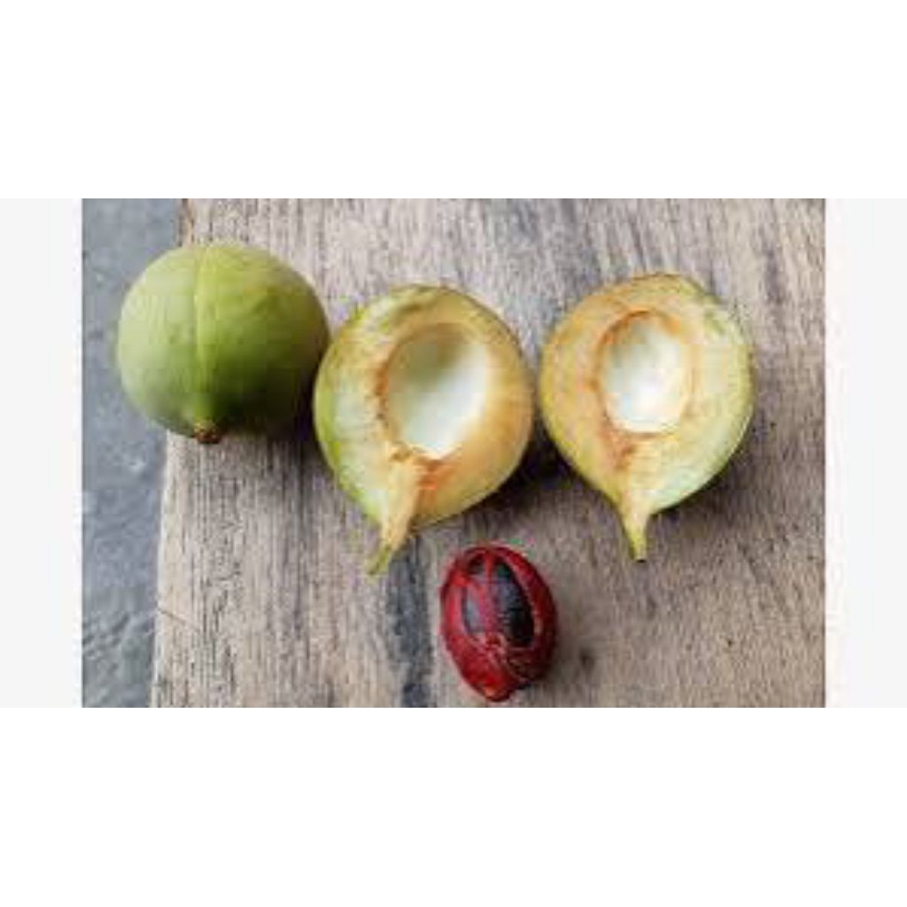 

buah pala_mentah_segar_500GR_1000GR_fersh_bersih_