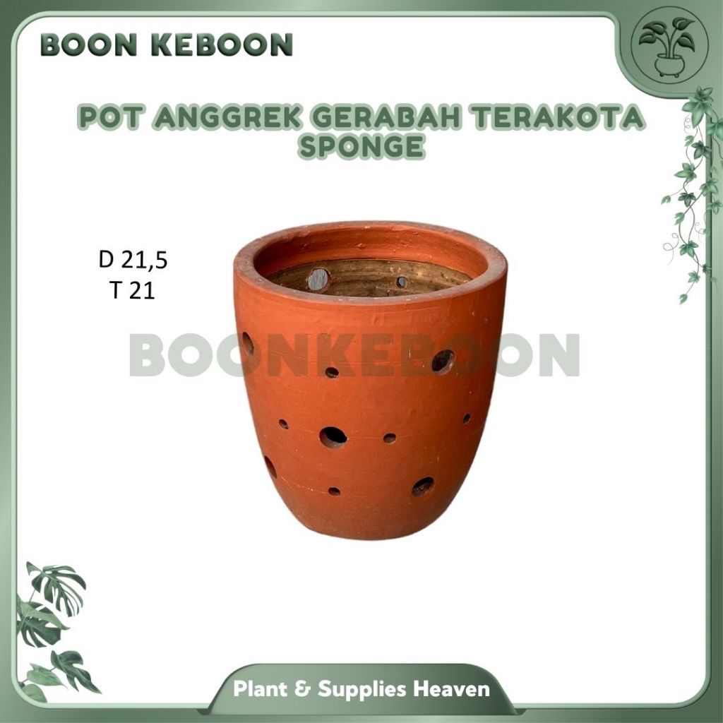 Pot Anggrek Gerabah Terakota Sponge