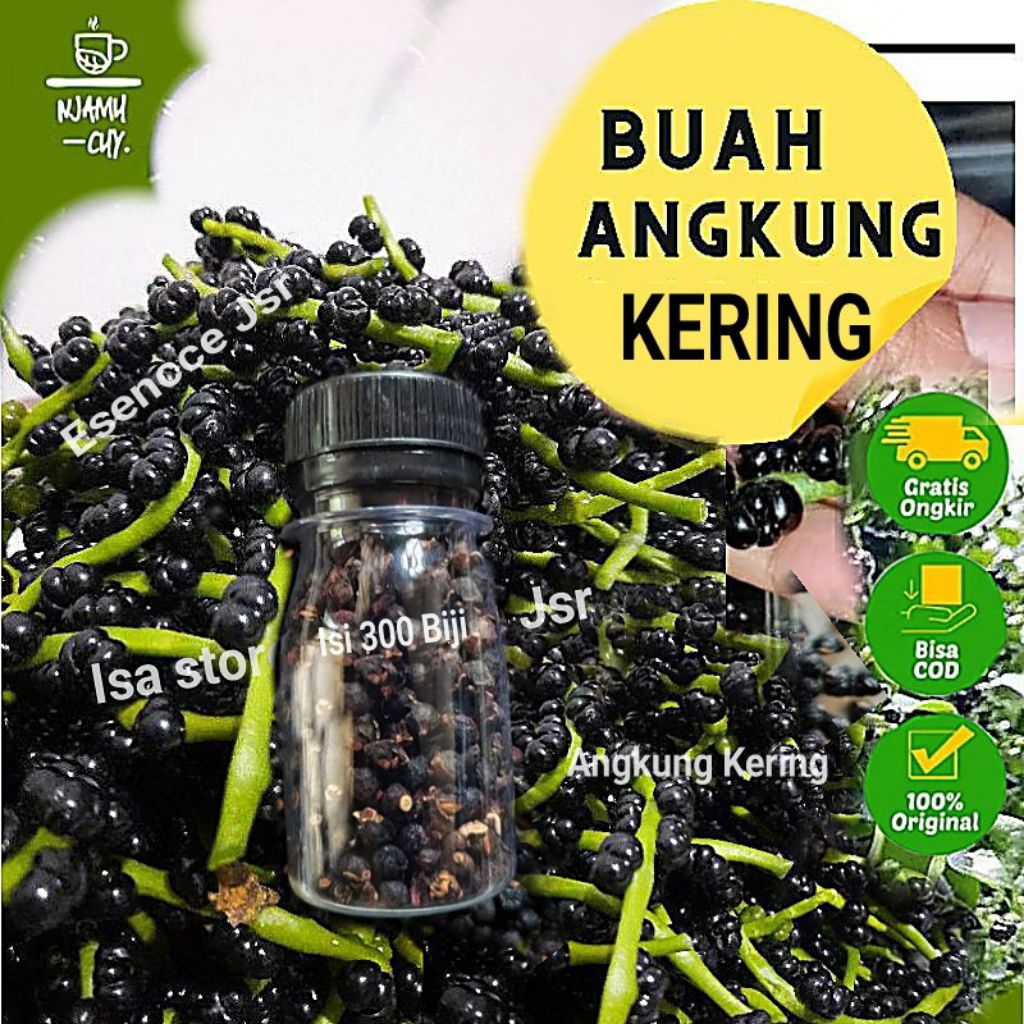 

300 Biji Angkung Kering Obat Stroke Dan Hipertensi