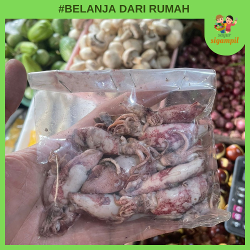 

Ikan Asin Cumi / Peda Japuh Manyun / Peda Banjar / Jambal Roti Bandung
