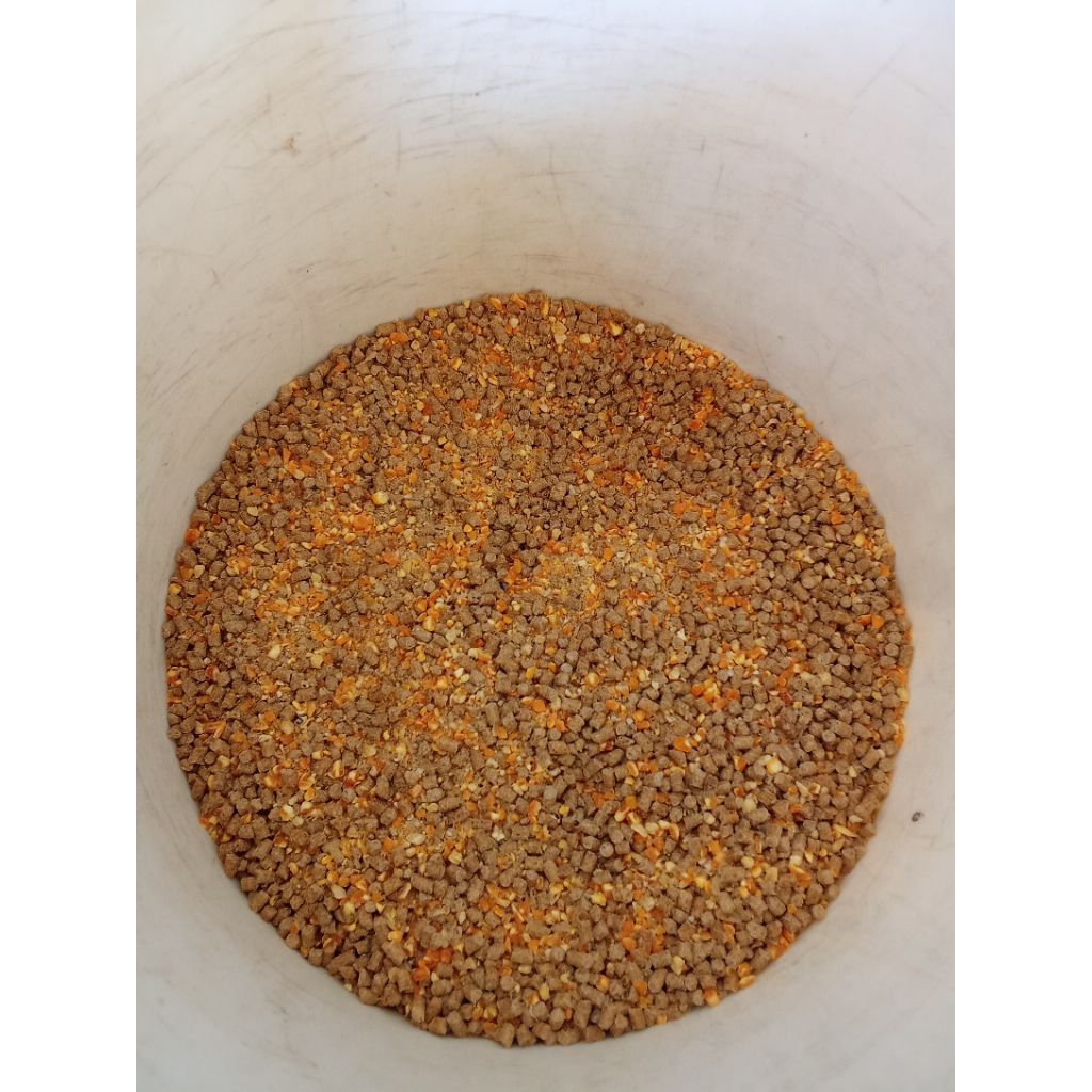 Pakan ayam petelur 1kg