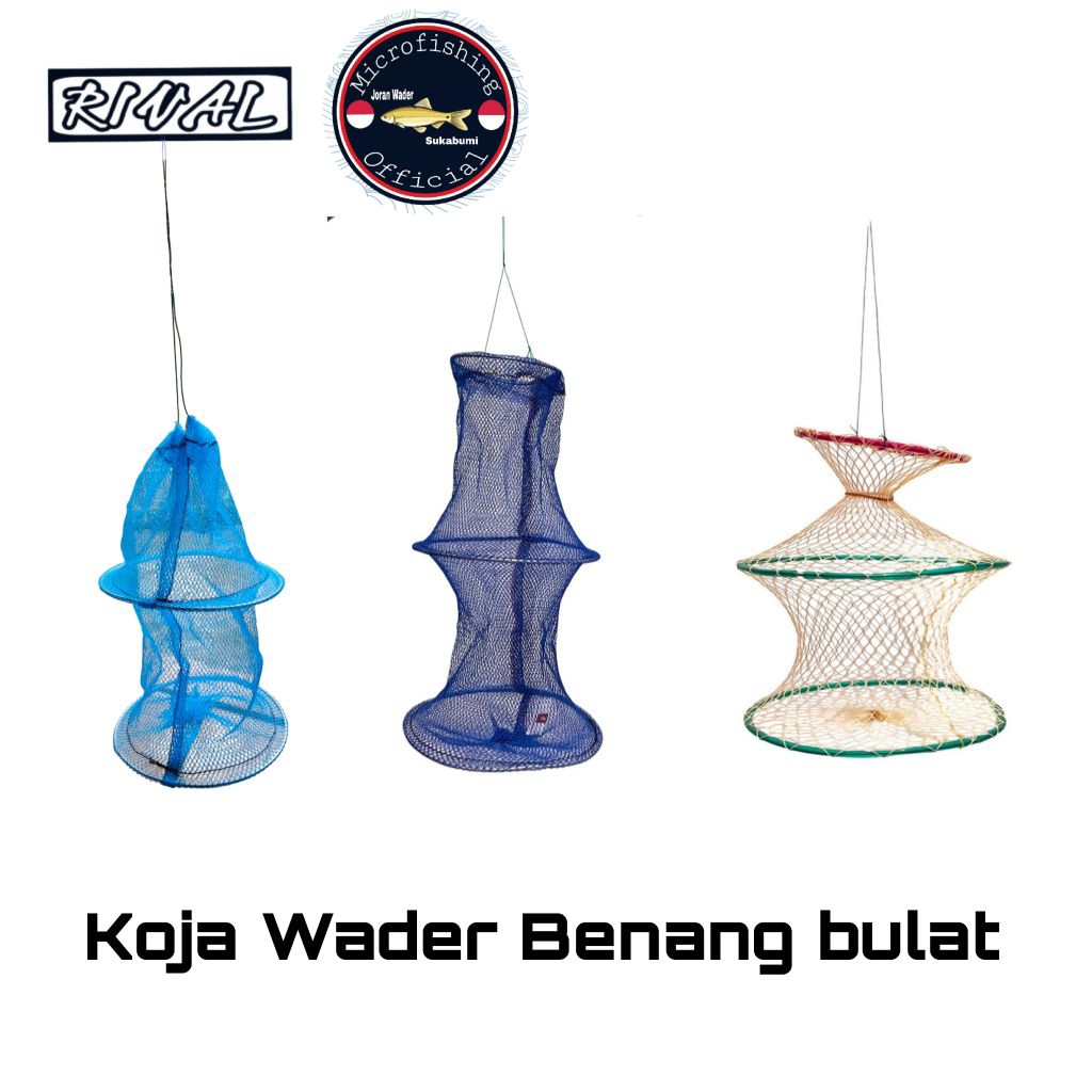Koja ikan Wader