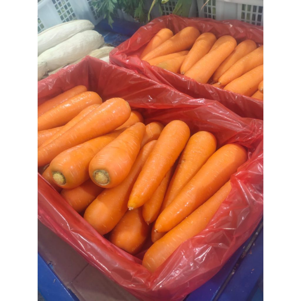 

wortel segar berat 500gr - 1000gr