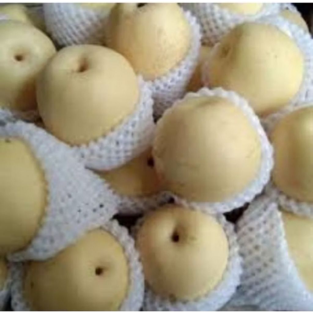 

Buah Pir Fresh 1000 gram