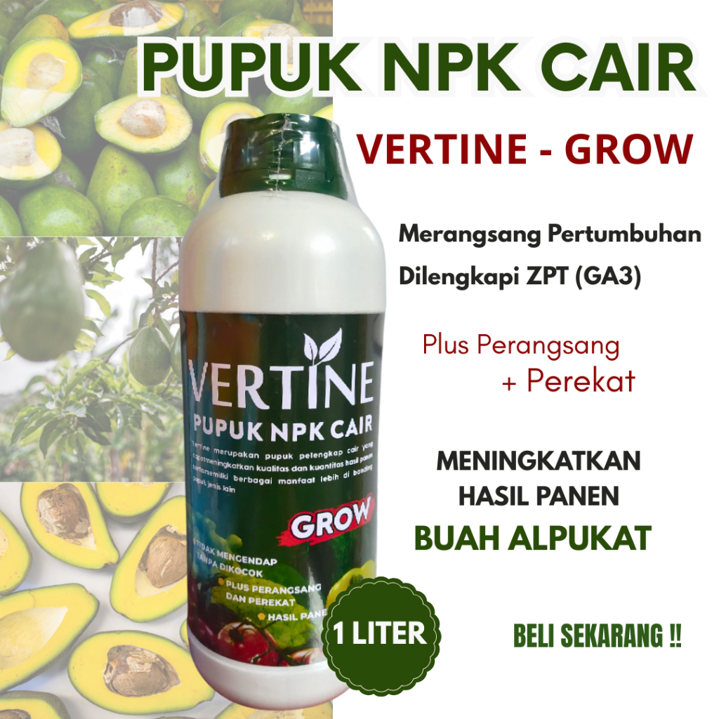 Pupuk NPK Buah Cair Untuk Tanaman Alpukat, Pupuk Lengkap Pertumbuhan Vegetatif Alpukat Aligator