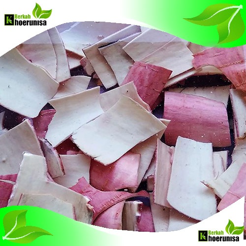 

Kulit Singkong Fresh 500 gram untuk herbal fresh