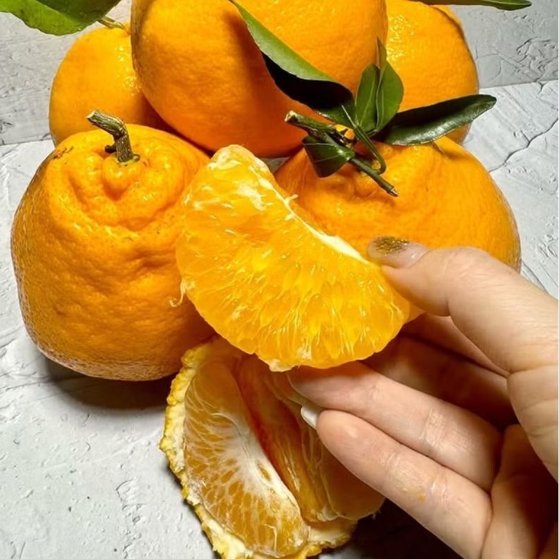 JERUK DEKOPON/PAPAGAN 1kg