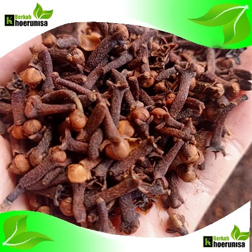 

Cengkeh Kering 1 kg Premium rempah dan herbal