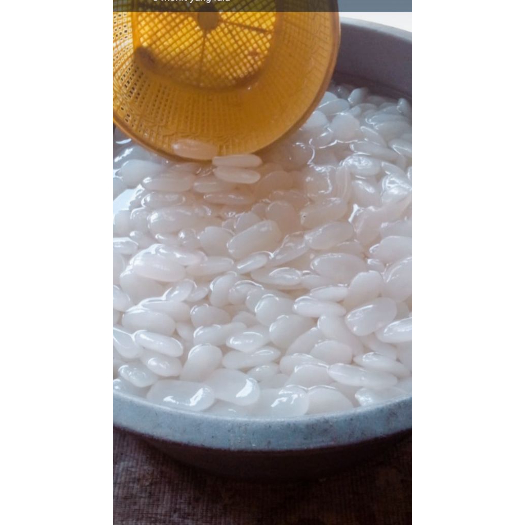 

kulang kaling segar harga per 1kg