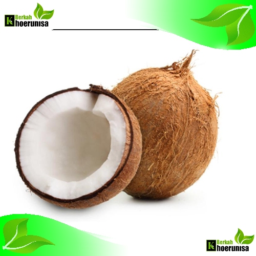 

Buah Kelapa Tua Utuh Kupas Per butir